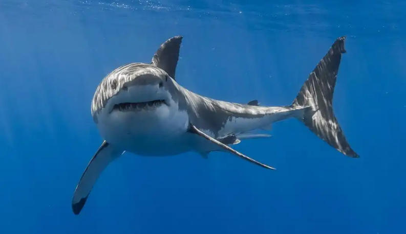 独立控制面板轮播图2